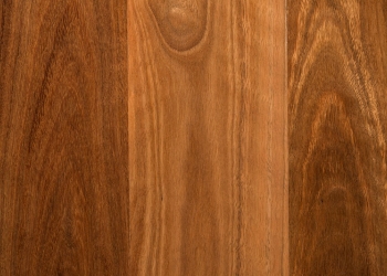 Parmate - Spotted Gum